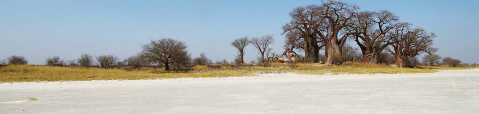 Banner Botswana