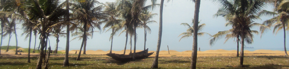 Banner Togo