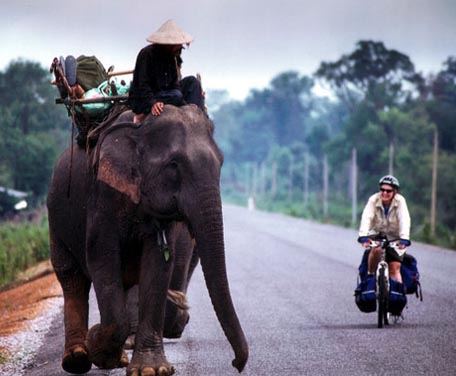 Elefant und Fahrrad