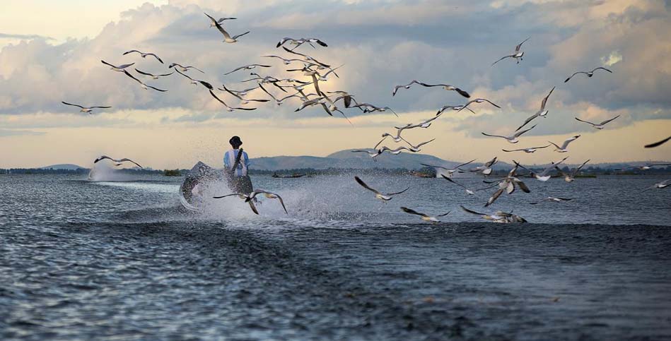 Natur in Myanmar